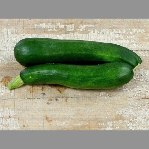 Black Beauty zucchini, dark green long 