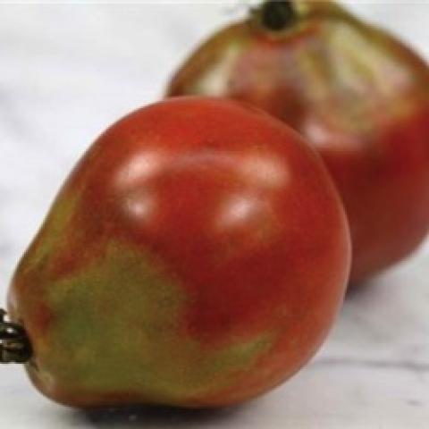 Japanese Black Trifele tomato, pear-shaped, mostly red, some green