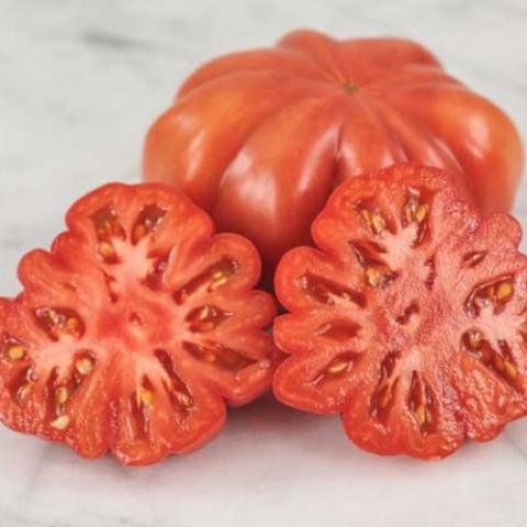 Mushroom Basket tomato, very ridged, red
