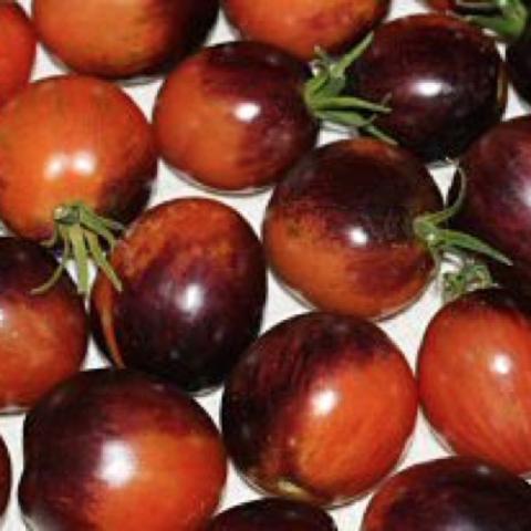 Purple Dragon tomato, cherries, half orange, half purple