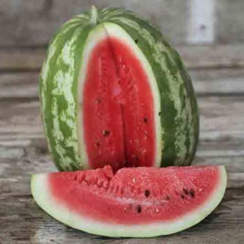Crimson Sweet watermelon, dark almost red flesh, green bicolor rind