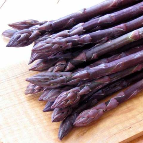 Purple Passion asparagus, purple stems and tips