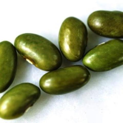 Mbombo beans, very shiny green dried beans