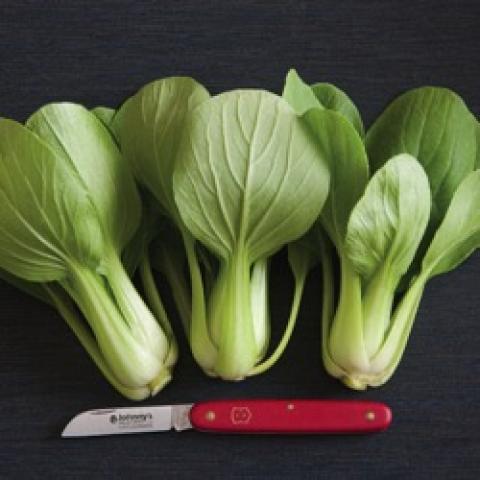 Li Ren bok choi, baby light green choi heads