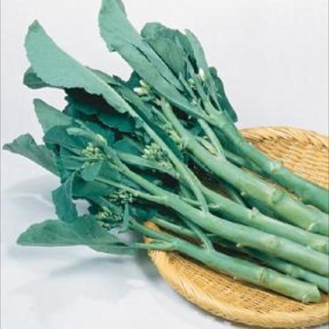 Broccoli 'Green Lance'