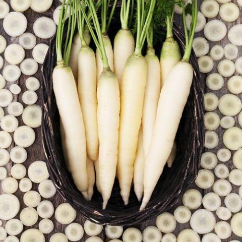 Carrot White Satin, white carrot roots