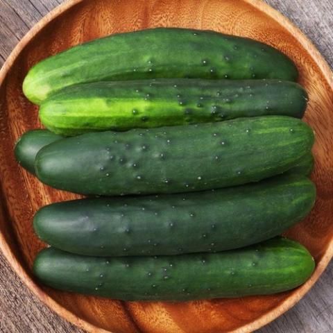 Cucumber Marketmore 76, long green cucumbers with narrowed ends