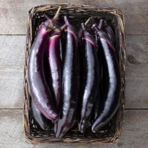 Shikou eggplants, almost black, long thin fruits