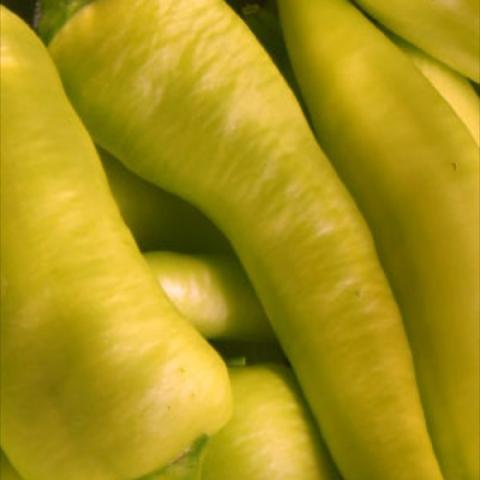 Pepper 'Hot Banana', long yellow-green peppers