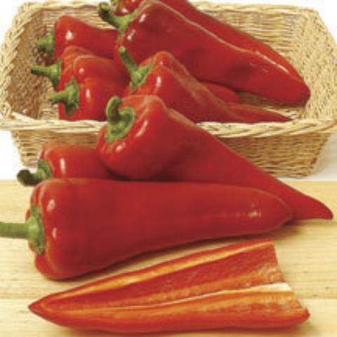 Carmen pepper, long red