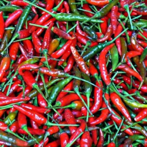 Small red chili peppers Super Chilis
