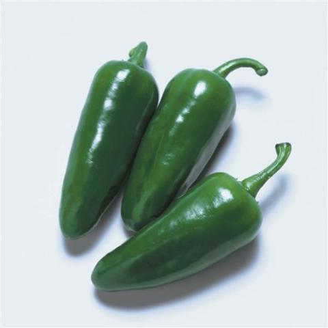 Pepper Jalapeño Sweet Poppers, short green peppers