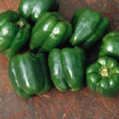 Green bell peppers