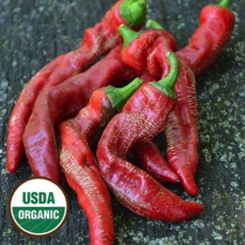 Rams Horn peppers, long, narrow, red, a bit twisty