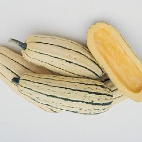 Delicata squash, long tan fruits with green stripes, orange insides