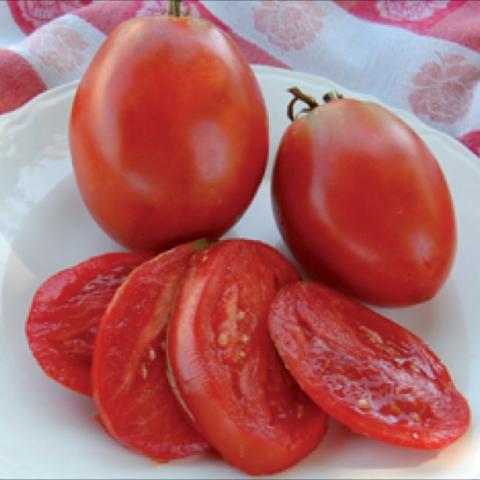 Amish Paste tomato, long roma-type