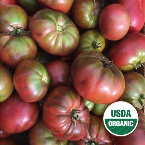 Tomato Borealis Beefsteak, red to green tomatoes