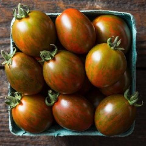 Chocolate Sprinkles tomato, brownish red to green extra large cherries