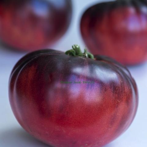 Tomato Indigo Blue Beauty, red tomatoes with dark purple shoulders