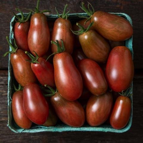 Tomato Moonshadow, elongated pear shape very dark red