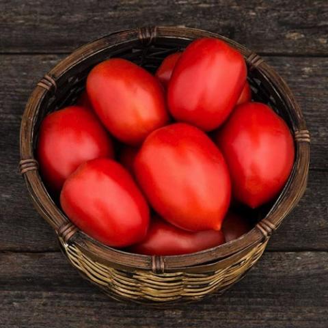 Tomato Plum Perfect, red plum-shaped tomatoes